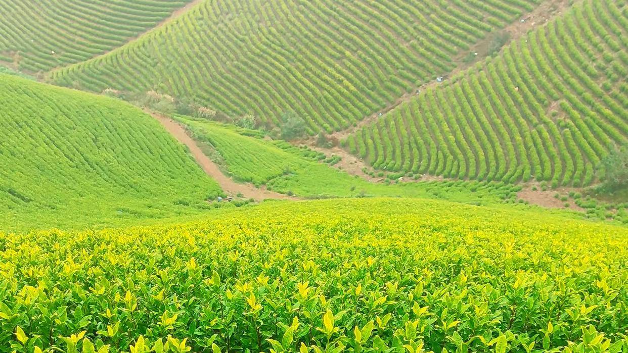 recent-project-img-6