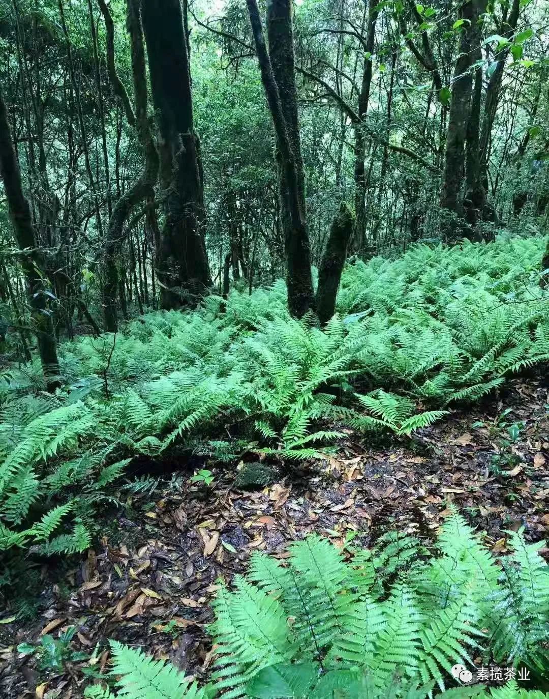 upcoming-events-img-2